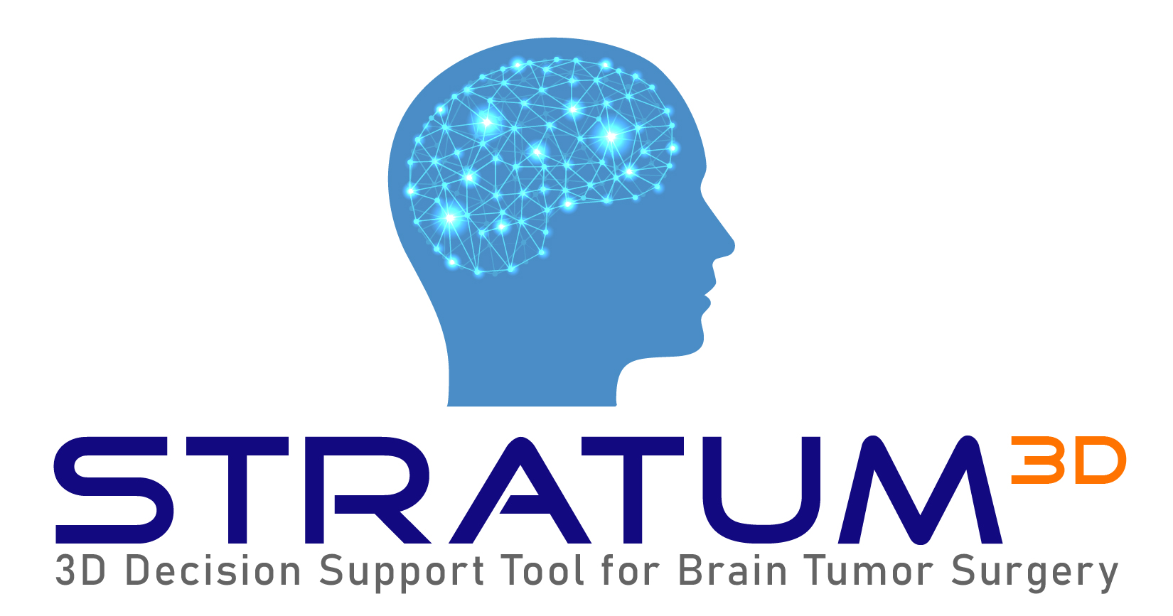 STRATUM: 3D Decision Support Tool for Brain Tumor Surgery